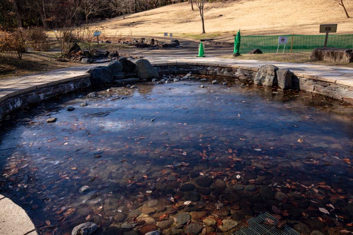 国営武蔵丘陵森林公園　渓流広場　水遊び可の下流部