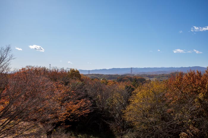 国営武蔵丘陵森林公園　展望レストラン　眺望　富士山方面