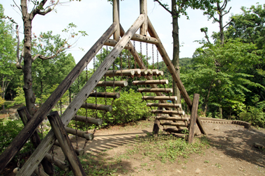 城山公園（桶川市）丘の斜面のフィールドアスレチック　頂上の遊具