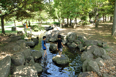 庄和総合公園　水遊び