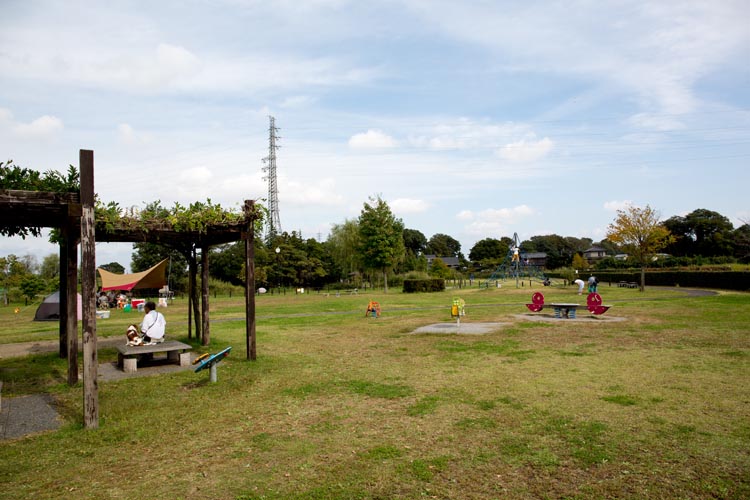 高須賀池公園　複合遊具の広場