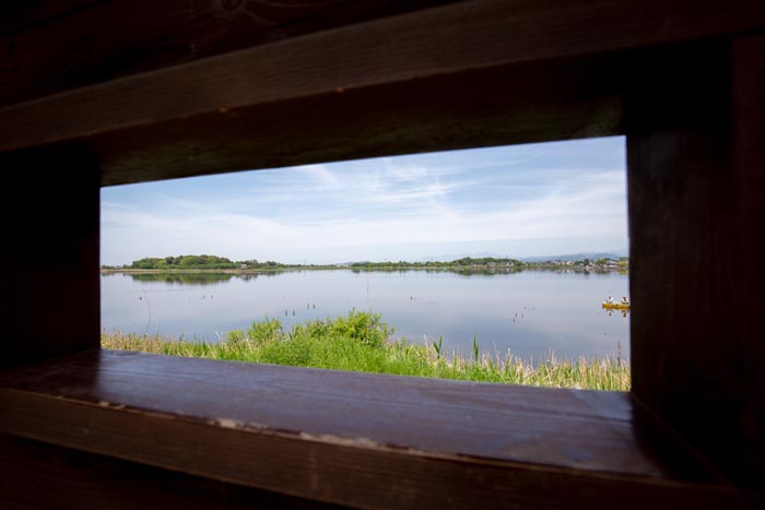 多々良沼公園　自然ふれあいエリア　多目的展望広場　野鳥観察シェルターからの多々良沼