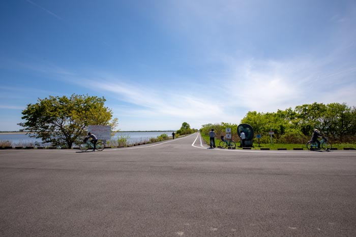 渡良瀬遊水池・谷中湖周辺　サイクリングロード